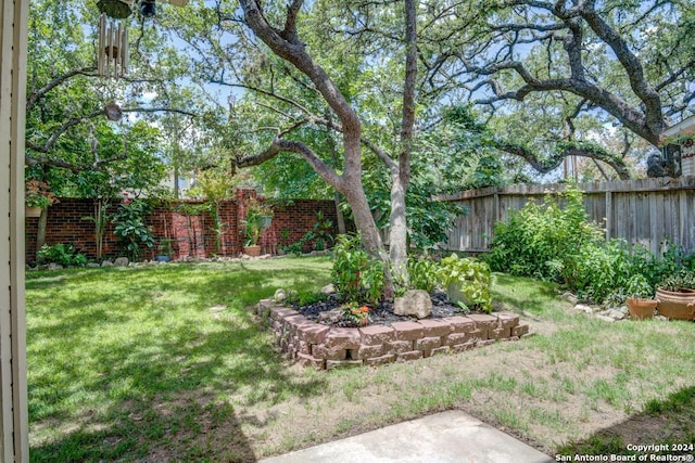 8907 Lost Bnd, San Antonio, TX 78240 - view of yard