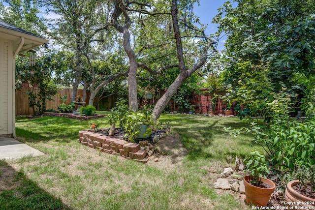 8907 Lost Bnd, San Antonio, TX 78240 - view of yard