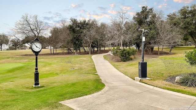 view of property's community with a yard