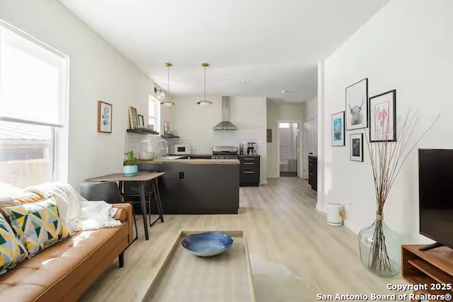 living room featuring light wood-type flooring and sink