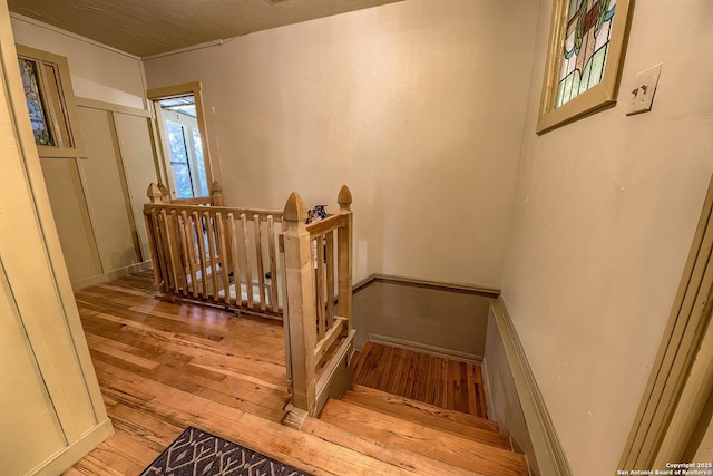 stairs featuring hardwood / wood-style flooring