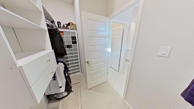 view of walk in closet