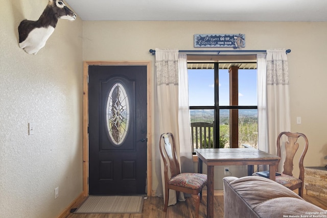 entryway with hardwood / wood-style floors