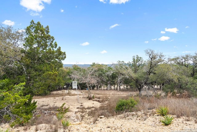 view of landscape featuring a rural view