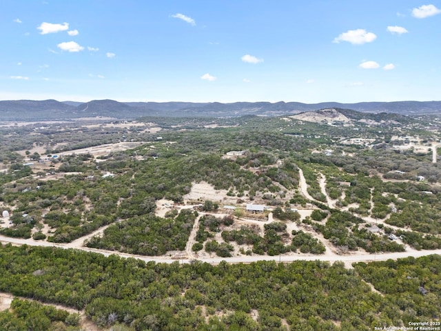 bird's eye view featuring a mountain view