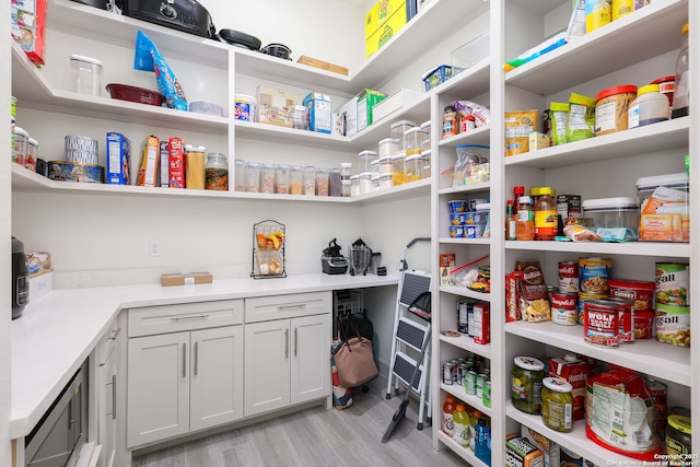 view of pantry