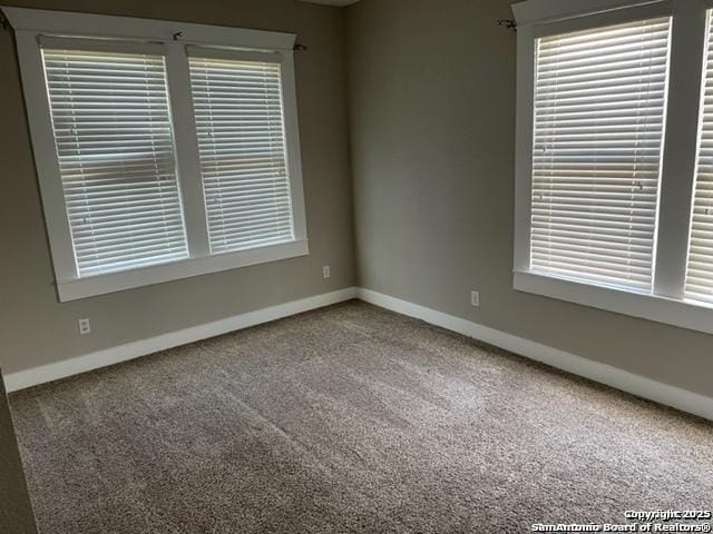 carpeted empty room featuring a wealth of natural light