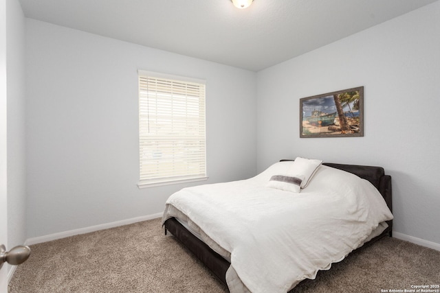 25046 Las Pilas, San Antonio, TX 78261 - view of carpeted bedroom