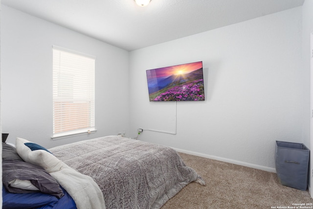 25046 Las Pilas, San Antonio, TX 78261 - view of carpeted bedroom