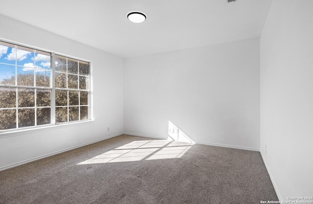 unfurnished room with carpet floors