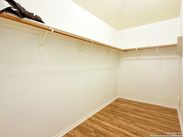 walk in closet featuring light hardwood / wood-style floors