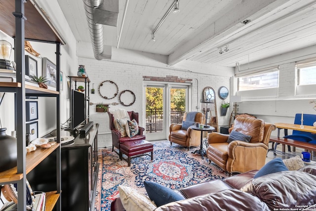 sitting room featuring rail lighting, a healthy amount of sunlight, and brick wall