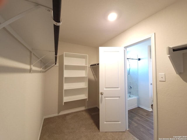 view of walk in closet