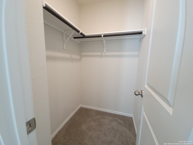 spacious closet with carpet flooring