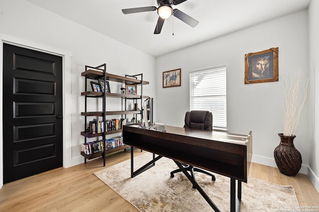 office with ceiling fan and light hardwood / wood-style flooring