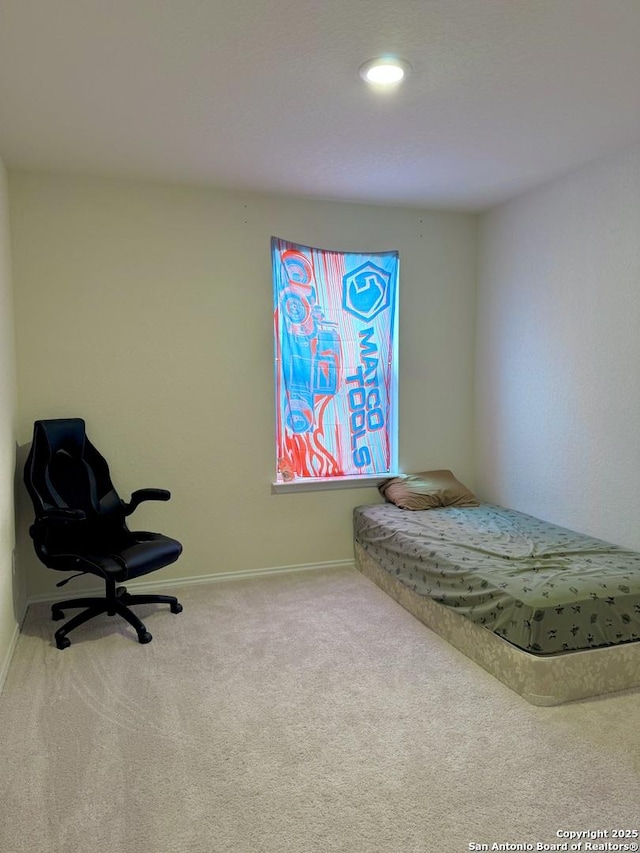 bedroom featuring carpet