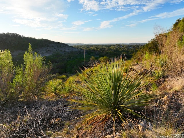 Listing photo 2 for 553 Cloud Top, Canyon Lake TX 78133