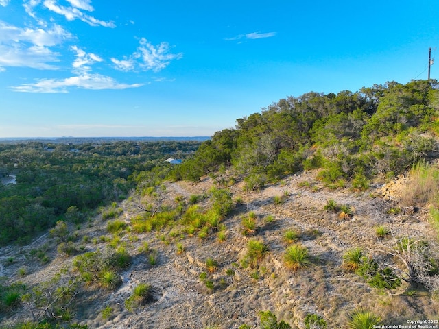 Listing photo 3 for 553 Cloud Top, Canyon Lake TX 78133