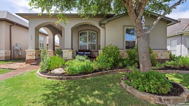 view of front facade with a front yard