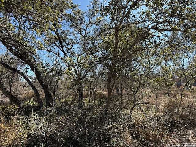 view of landscape