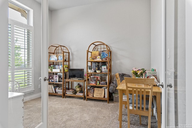 1905 High Bank, Seguin, TX 78155 - home office with carpet floors and french doors