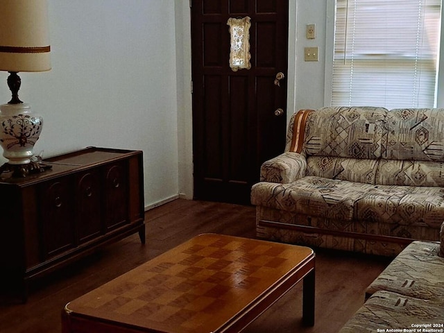 living room featuring dark wood-type flooring