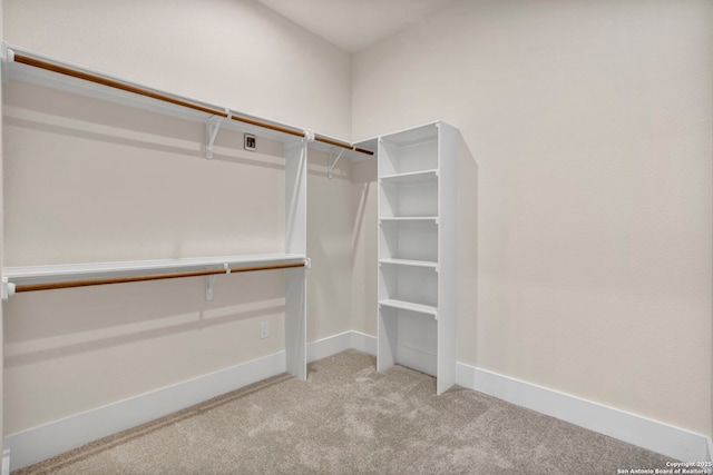 spacious closet with light colored carpet