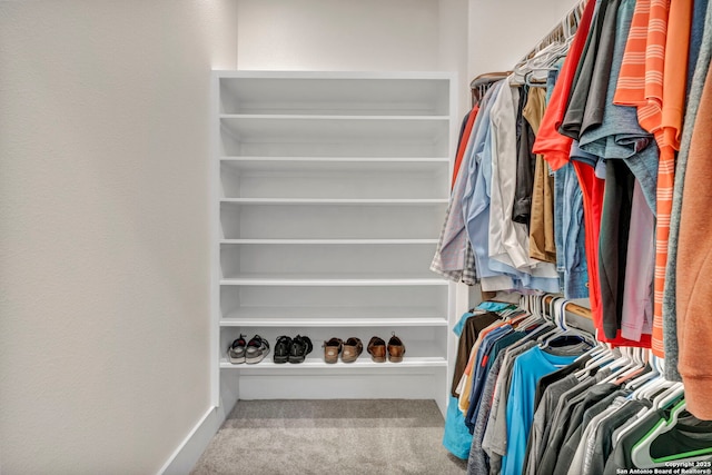 spacious closet with carpet