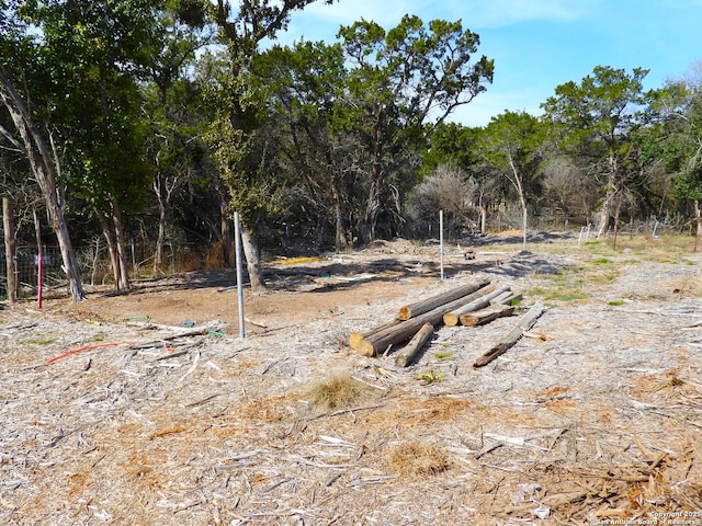 view of local wilderness