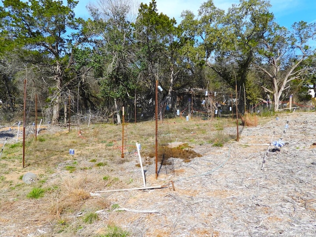 view of local wilderness