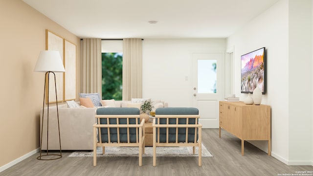 living area with wood-type flooring