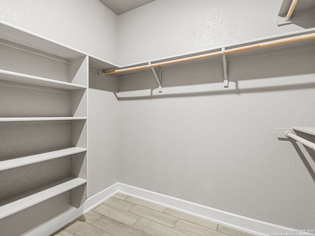 spacious closet featuring wood-type flooring