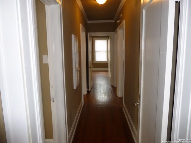 hall with dark wood-type flooring and ornamental molding