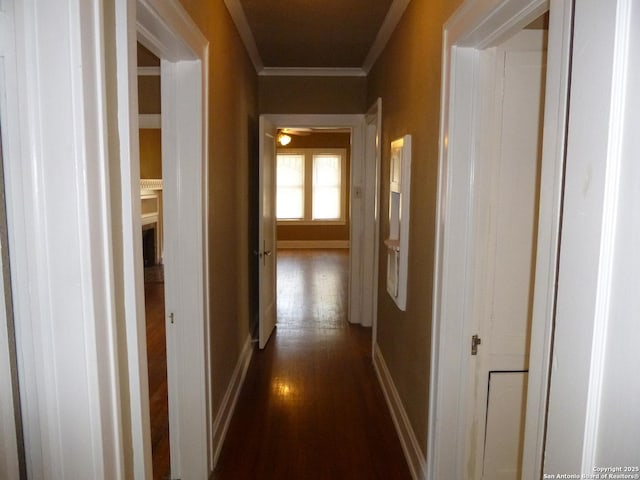 corridor with ornamental molding and dark wood-type flooring