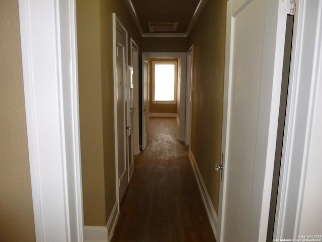 corridor featuring dark hardwood / wood-style floors