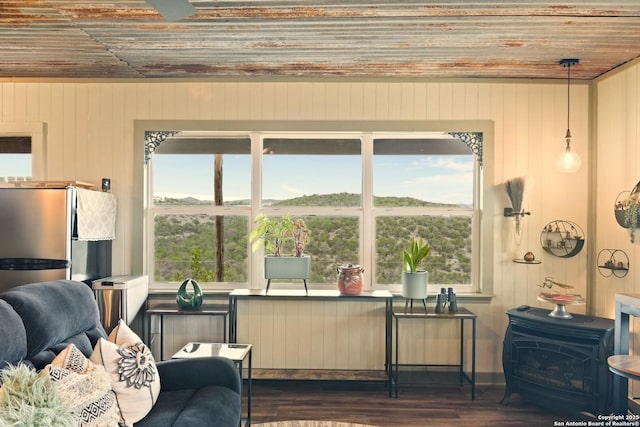 living area with radiator, plenty of natural light, a wood stove, and dark wood-style flooring