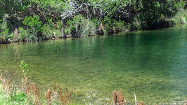 water view featuring a view of trees