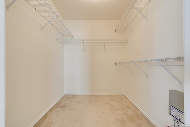 walk in closet featuring light colored carpet