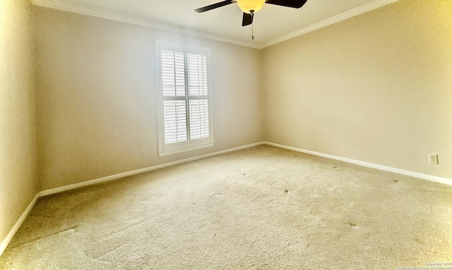 spare room featuring carpet, ornamental molding, and ceiling fan