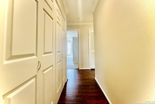 hallway featuring ornamental molding and dark wood-type flooring