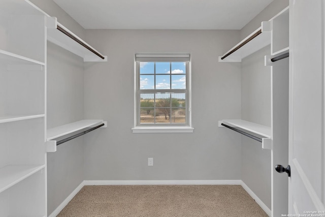 view of spacious closet