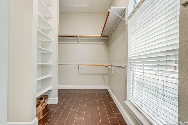 view of walk in closet