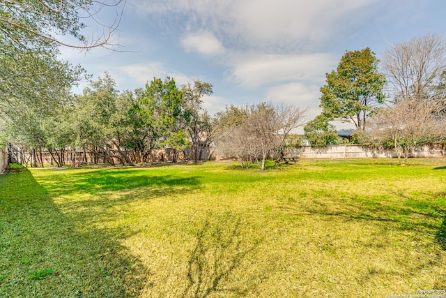 view of yard