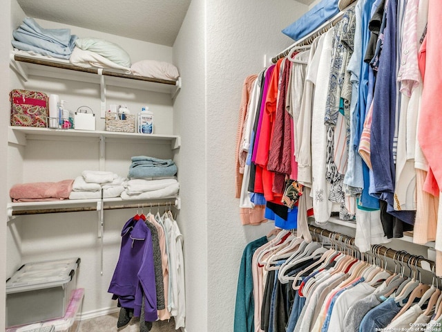 view of walk in closet