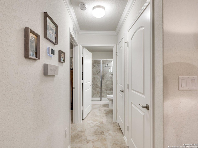 corridor featuring ornamental molding, a textured ceiling, and a textured wall