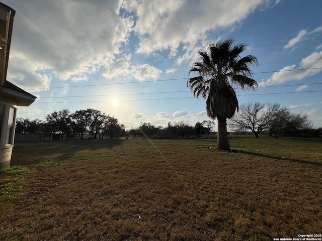 view of yard