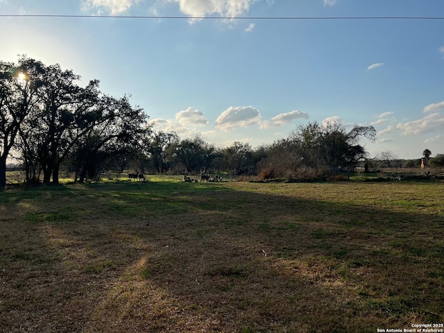 view of yard featuring a rural view