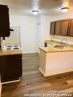 kitchen with sink and dark hardwood / wood-style flooring