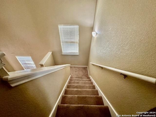 stairway featuring carpet floors