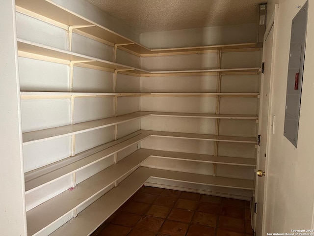 pantry with electric panel